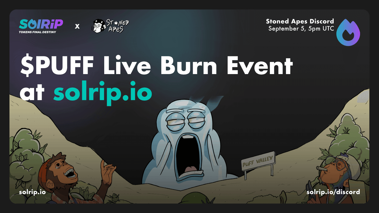 SolRIP Coupons Guide
